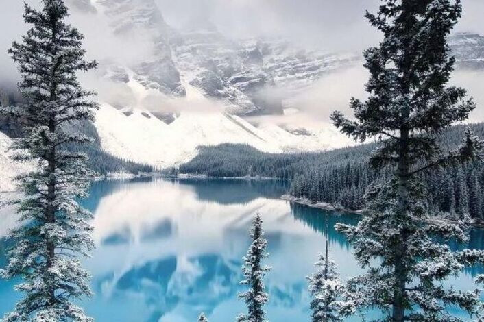 Изображение без названия