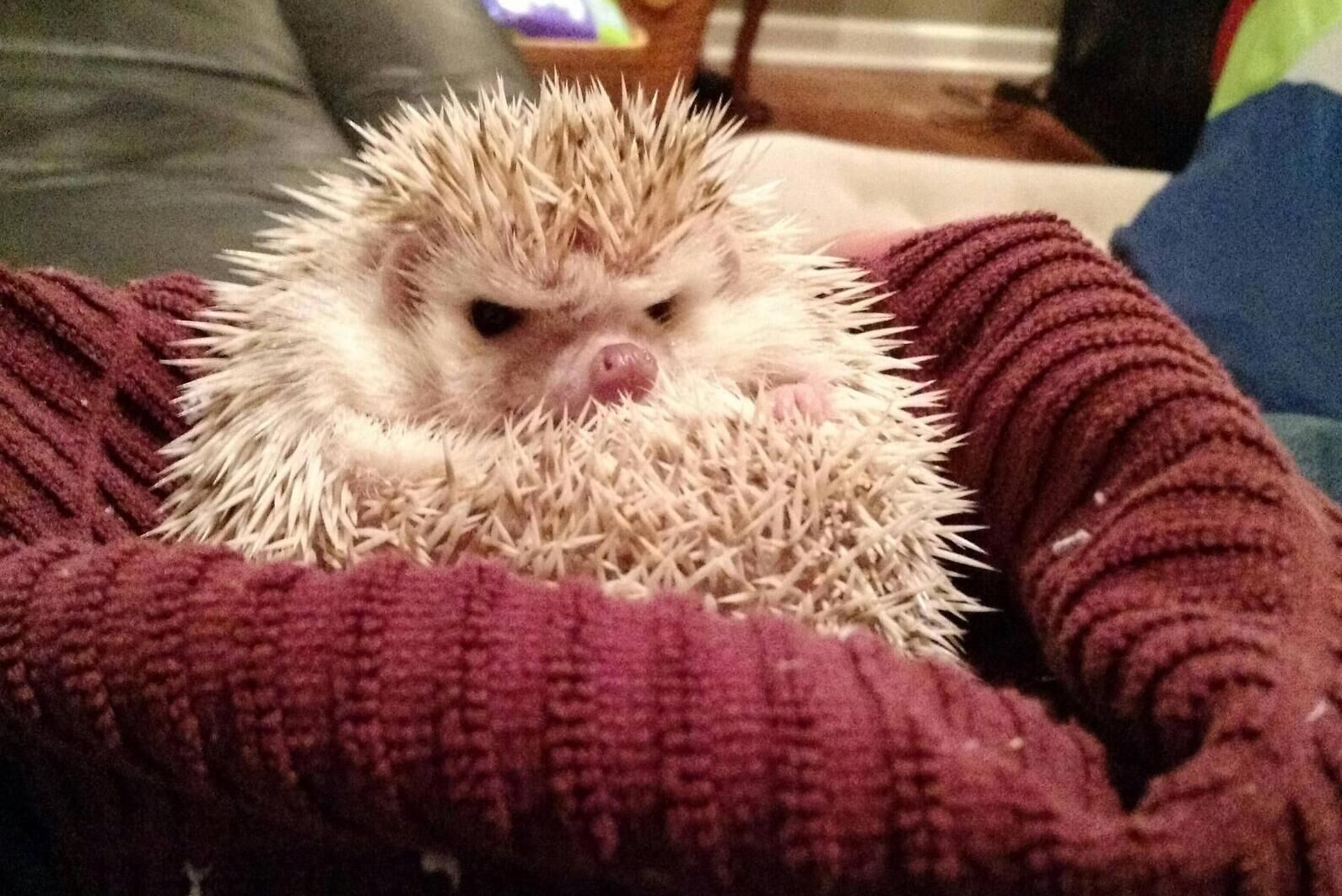 Обучение карьерных консультантов центров занятости населения Липецкой области