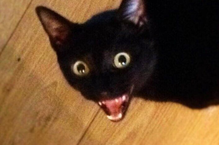 Изображение без названия