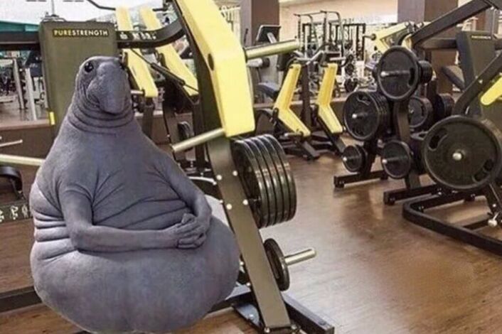 Изображение без названия