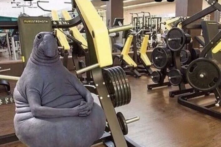 Изображение без названия