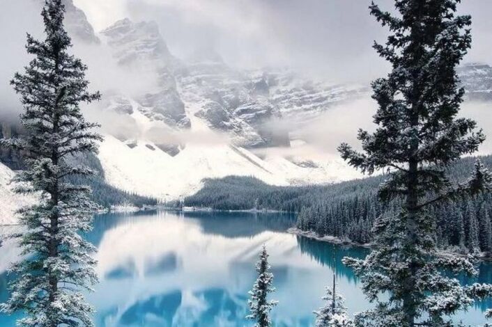 Изображение без названия